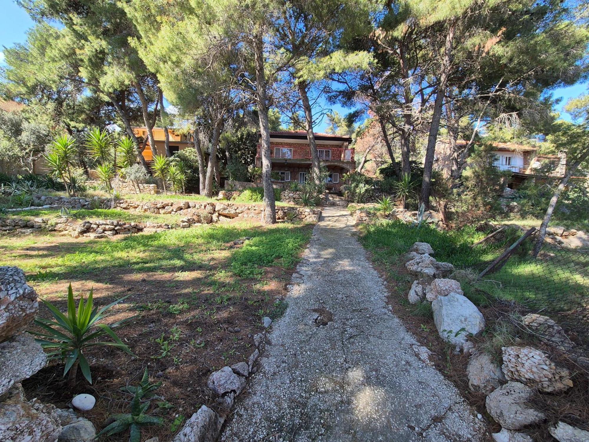 Apartment Zavala 8774B Jelsa  Exteriér fotografie